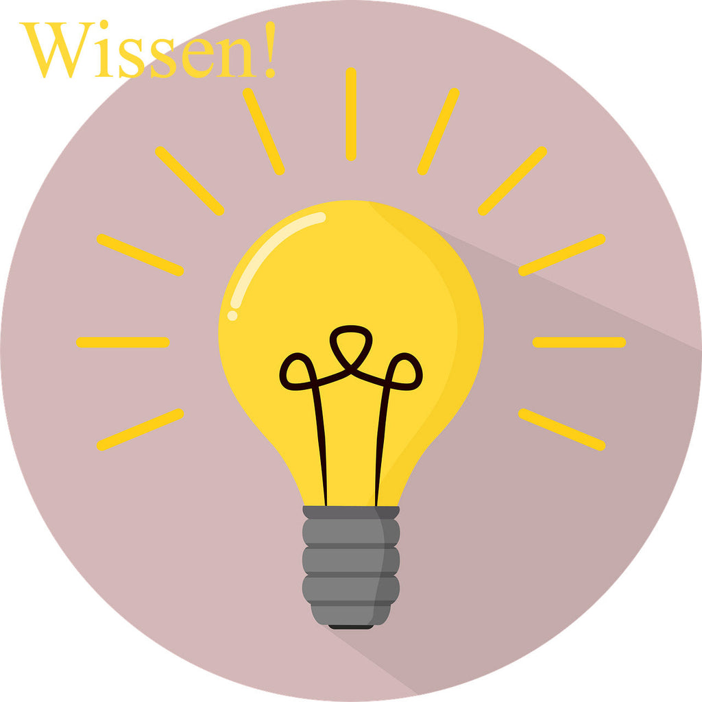 Glühbirne mit dem Wort Wissen.