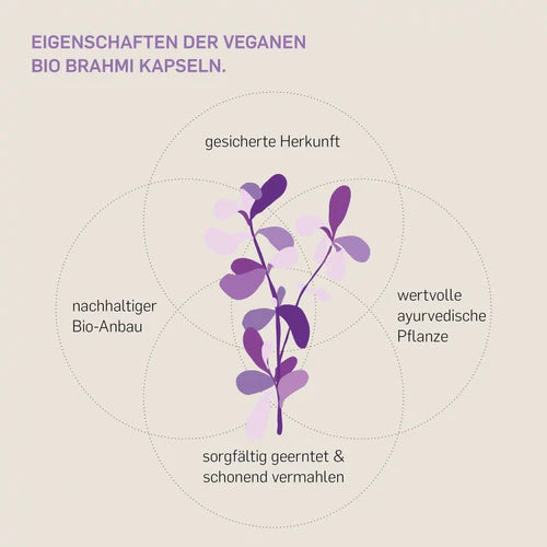 BIO BRAHMI - KURKRAFT