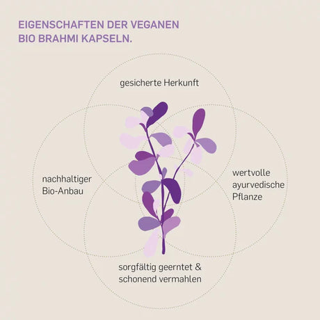 BIO BRAHMI - KURKRAFT