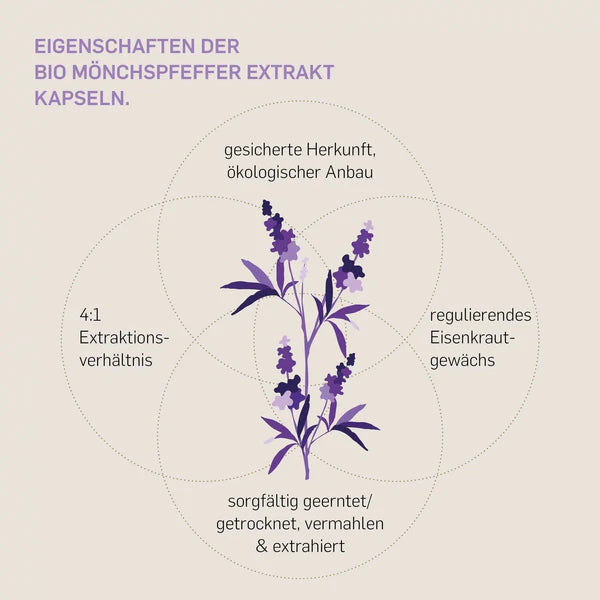 BIO MÖNCHSPFEFFER EXTRAKT- KURKRAFT 240 Kapseln  - vegan