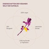 Bild mit Eigenschaften der veganen Wld Yam Kapseln: 100% Vegan, 20%Diosgenin, natürlicher Extrakt, 1100mg Extrakt je Tagesdosis