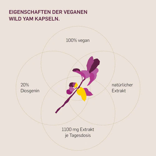 Bild mit Eigenschaften der veganen Wld Yam Kapseln: 100% Vegan, 20%Diosgenin, natürlicher Extrakt, 1100mg Extrakt je Tagesdosis