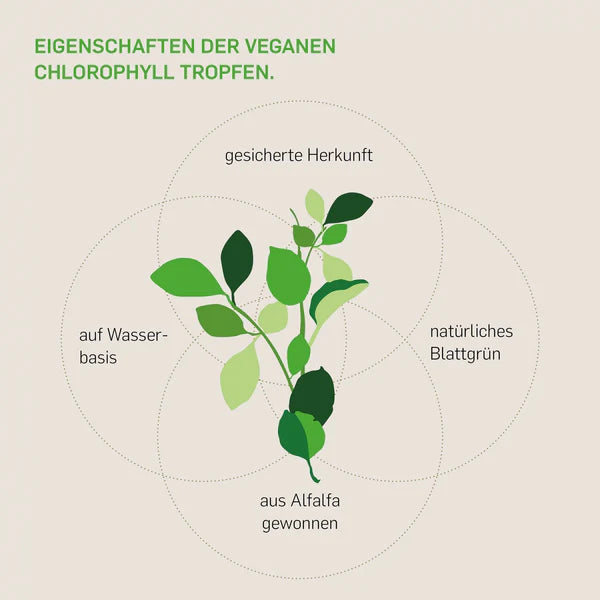 CHLOROPHYLL FLÜSSIG - KURKRAFT