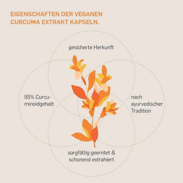 CURCUMA EXTRAKT- KURKRAFT