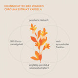 CURCUMA EXTRAKT- KURKRAFT