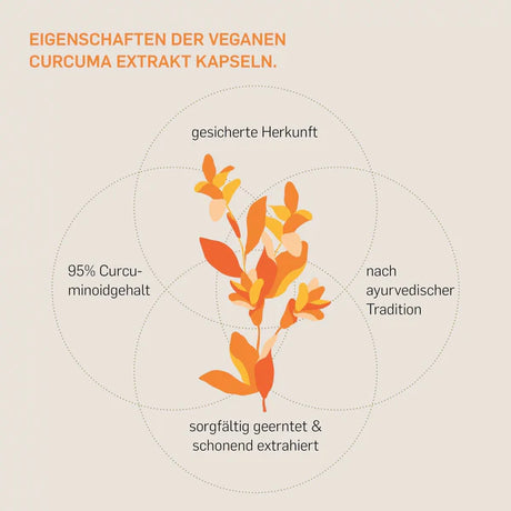 CURCUMA EXTRAKT- KURKRAFT
