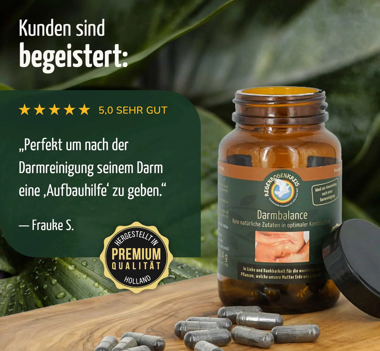 Darmbalance, 90 Kapseln - REGENBOGENKREIS
