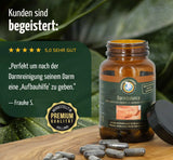 Darmbalance, 90 Kapseln - REGENBOGENKREIS