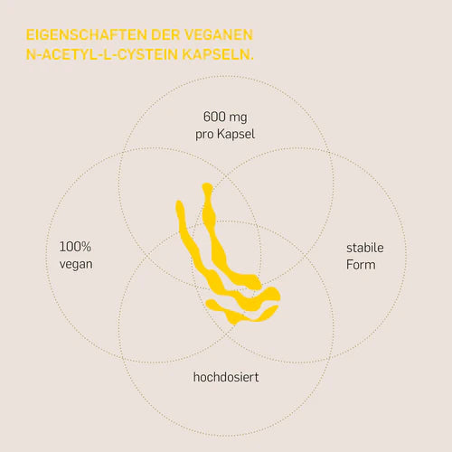 Eigenschaften der veganen N-Acetyl-L-Cystein Kapseln von Kurkraft: 600 mg pro Kapsel, 100% vegan, stabile Form, hochdosiert