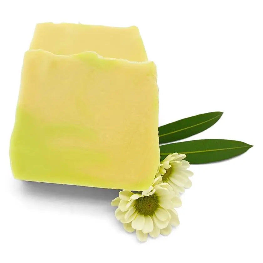 Lindenblüten und krautige Frische – natürliche Duftinspiration der Lindenblütenseife von kleine Auszeit