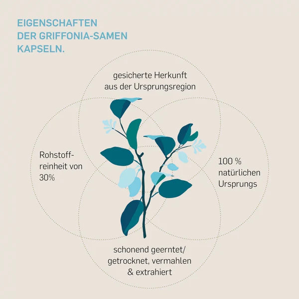 Griffonia  - KURKRAFT