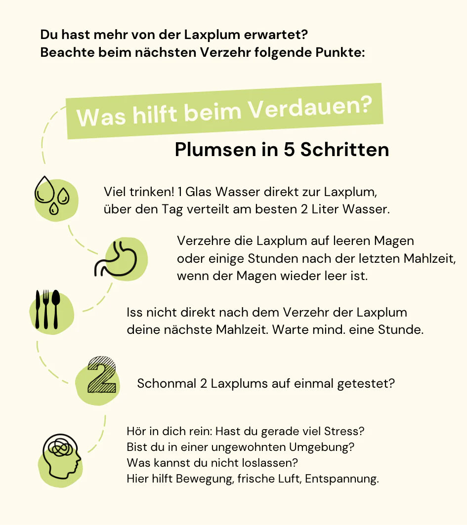 Grüne Pflaume - Laxplum fermentierte grüne Pflaume 9+1 Stk