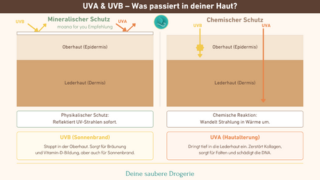 Grafik-Mineralischer-vs-Chemischer-Sonnenschutz-Vergleich-moana  