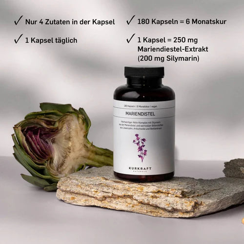 MARIENDISTEL KOMPLEX - KURKRAFT