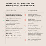 Mumijo Shilajit  - KURKRAFT