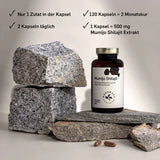 Mumijo Shilajit  - KURKRAFT
