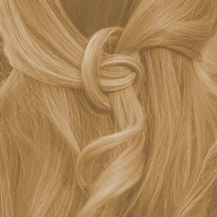 Profi-Pflanzenhaarfarbe warmes Hell-Blond "warm light blond" 90g Nachfüllpack - Thats me Organic