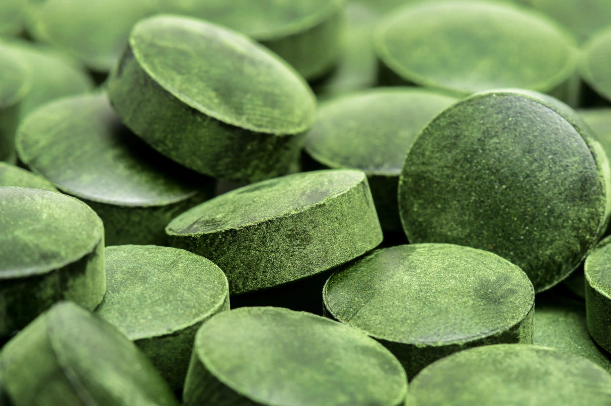 Spirulina Presslinge, Bio, 500 Stück - Regenbogenkreis 