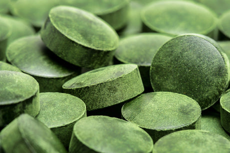 Spirulina Presslinge, Bio, 500 Stück - Regenbogenkreis 