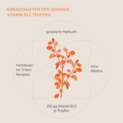 VITAMIN B12 - Energie und Nervenstärke in jedem Tropfen - KURKRAFT