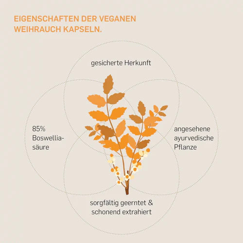 Eigenschaften der veganen Weihrauchkapseln - sicher Herkunft, angesehene ayurvedische Pflanze, sorgfältig geerntet und schonend extrahiert, 85% Boswelliasäure