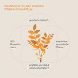 Eigenschaften der veganen Weihrauchkapseln - sicher Herkunft, angesehene ayurvedische Pflanze, sorgfältig geerntet und schonend extrahiert, 85% Boswelliasäure