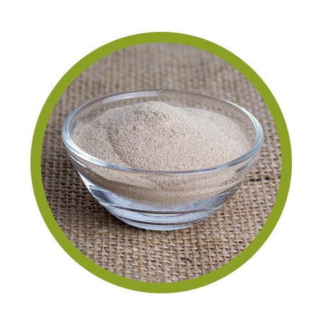 Nahaufnahme des feinen Wild Yams Extraktpulvers aus mexikanischer Dioscorea villosa
