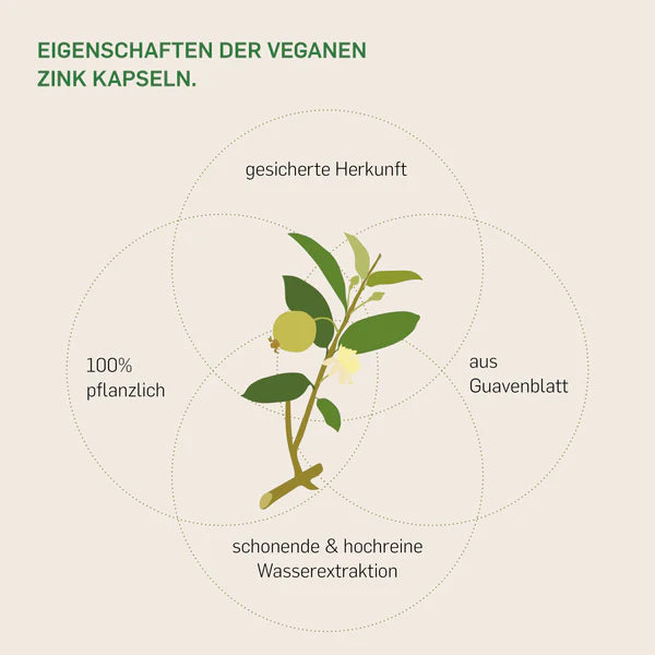 ZINK AUS GUAVE - KURKRAFT 60 Kapseln - 2 Monatskur - vegan