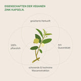 ZINK AUS GUAVE - KURKRAFT 60 Kapseln - 2 Monatskur - vegan