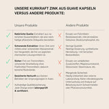 ZINK AUS GUAVE - KURKRAFT 60 Kapseln - 2 Monatskur - vegan