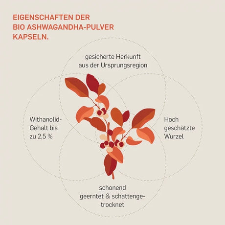 BIO ASHWAGANDHA - KURKRAFT  - 660 mg Bio-Wurzelpulver aus Wildsammlung pro Kapsel