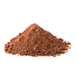 Bio Reishi Pulver 100 g Vitalundfitmit100 