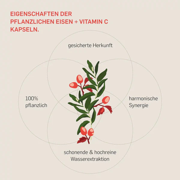 EISEN AUS CURRYBLATT - KURKRAFT