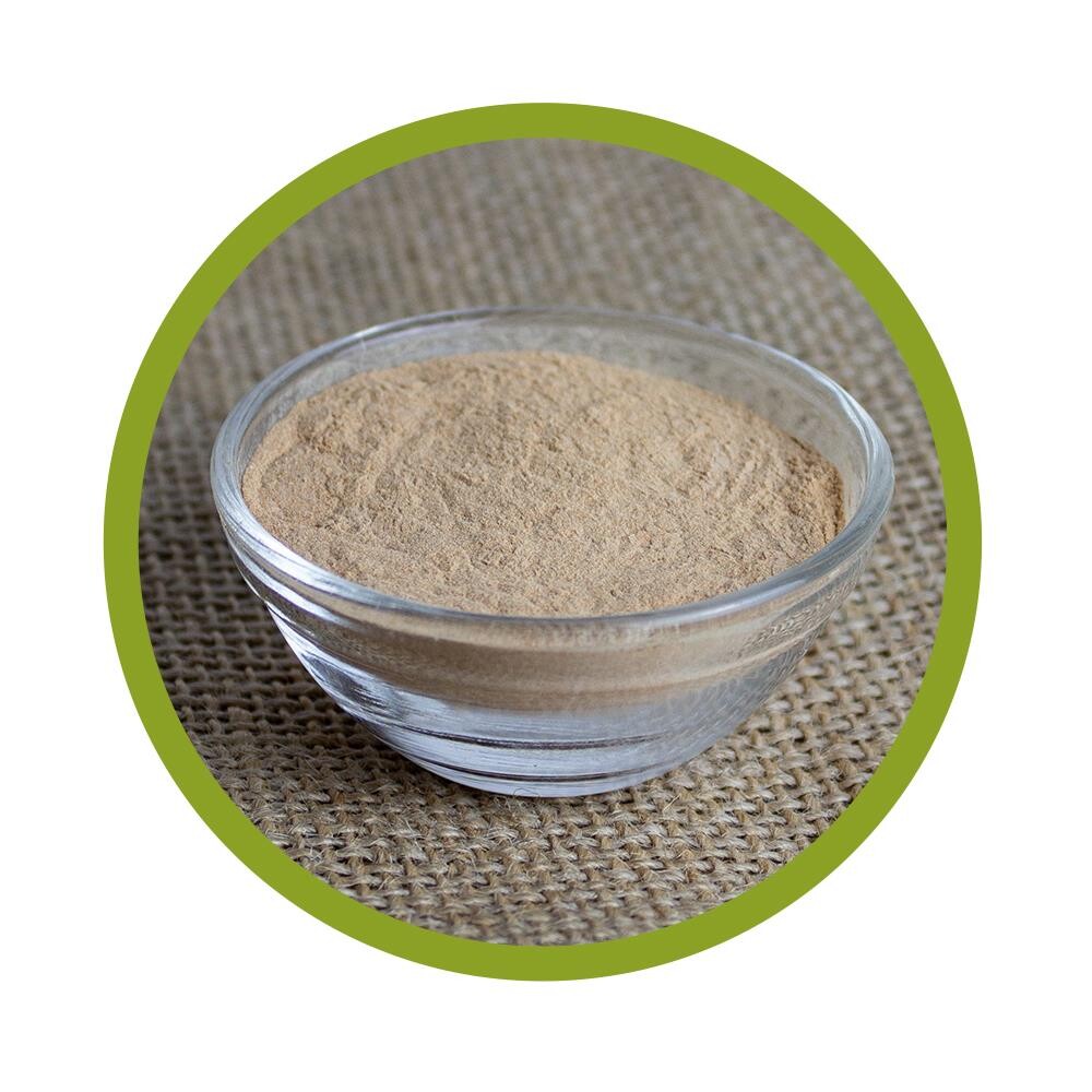 Schale aus Glas, gefüllt mit feinem bräunlichem Grüner Tee Extraktpulver, platziert auf Jute-Stoff mit grünem Kreis-Rahmen.