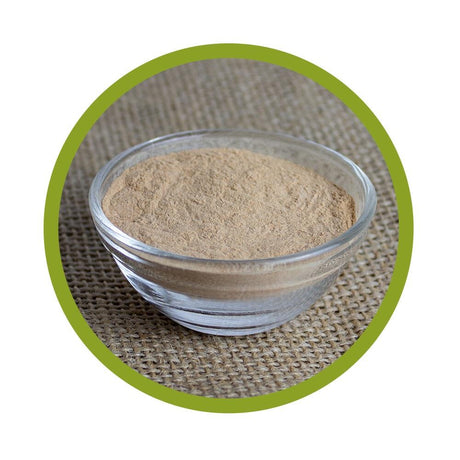 Schale aus Glas, gefüllt mit feinem bräunlichem Grüner Tee Extraktpulver, platziert auf Jute-Stoff mit grünem Kreis-Rahmen.