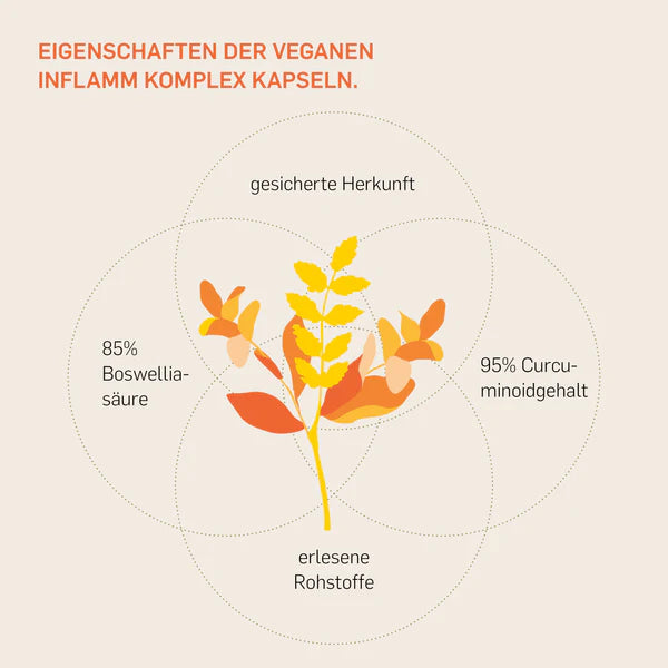 INFLAMM KOMPLEX - KURKRAFT