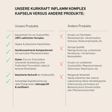 INFLAMM KOMPLEX - KURKRAFT