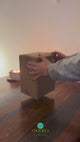 Video auspacken der drei Ganes lefanten, sehen, hören, sprechen 