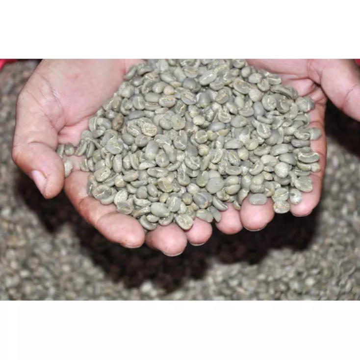 Grüner Kaffee - Sonnentor