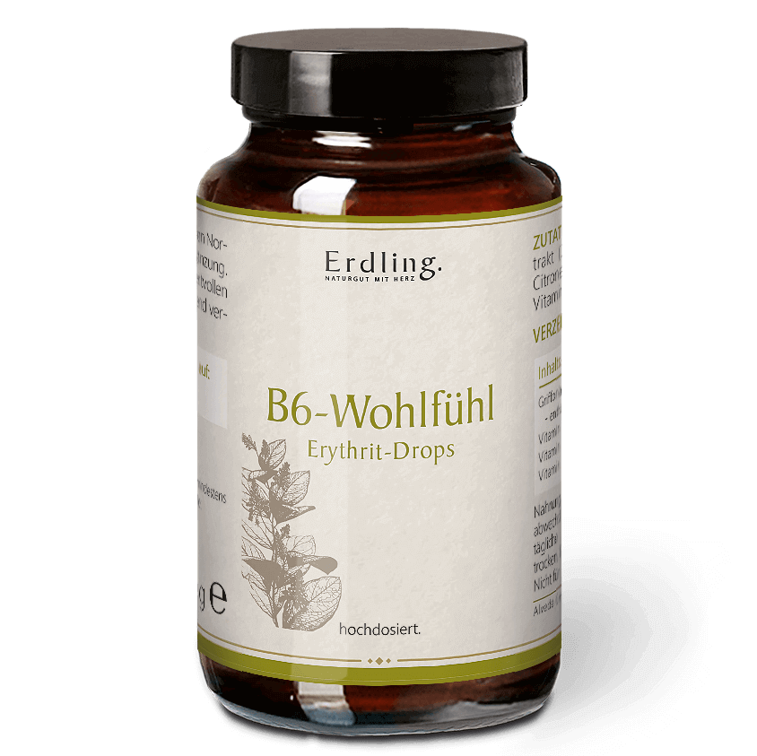 B6-Wohlfühl Erythrit-Drops - 50 Stück Waldkraft Erdling