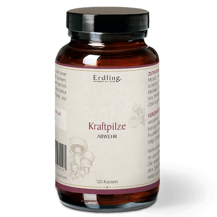 Kraftpilze Abwehr – Vitalpilz Synergetikum – 120 Kapseln