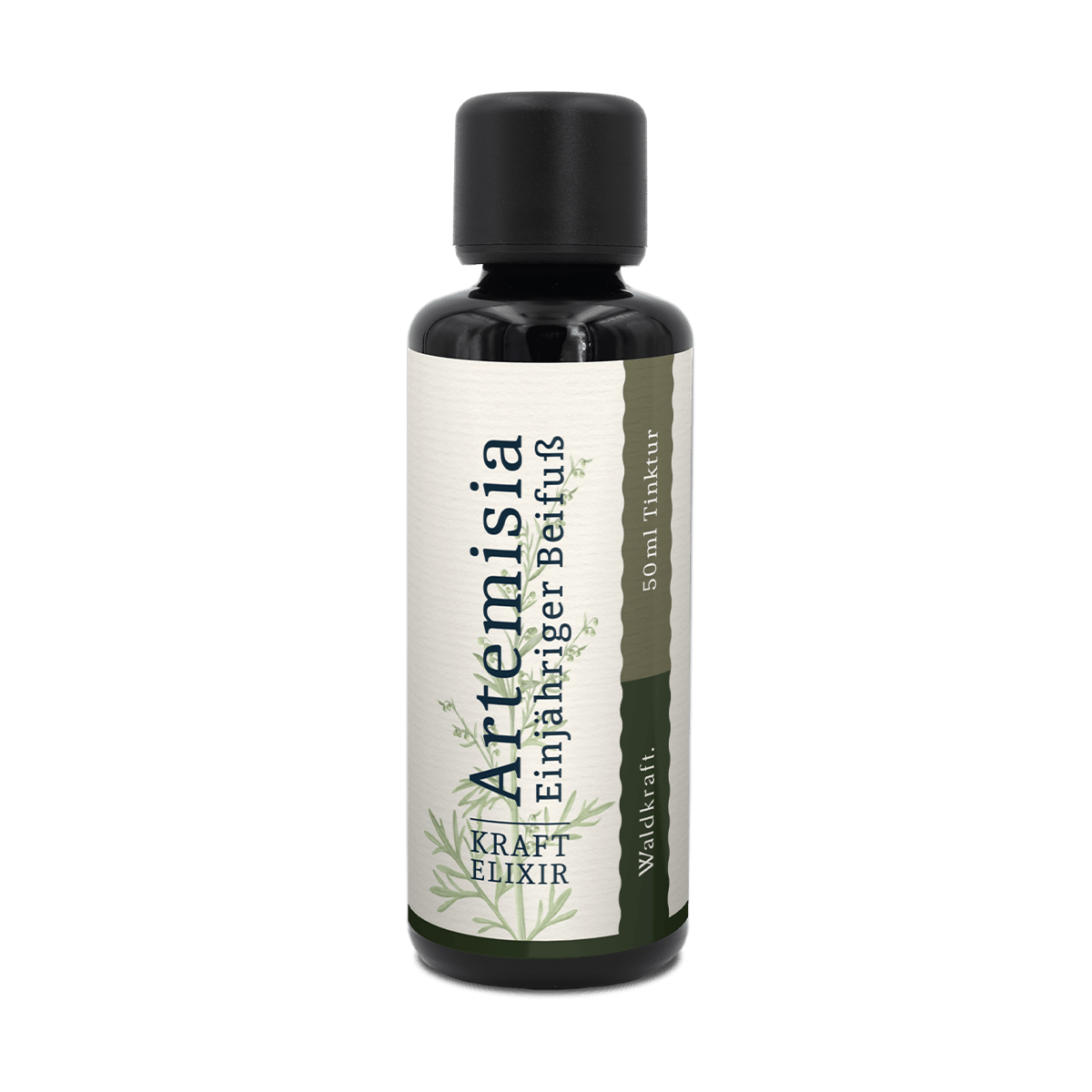Artemisia annua – Einjähriger Beifuß -  Waldkraft