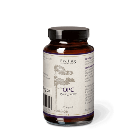 OPC Pycnogenol® - 60 Kapseln Waldkraft