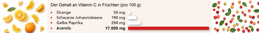 AMAZONAS - Acerolapulver BIO - Vitamin C